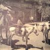 1925 Мерв Отправка на Ишаках и Верблюд