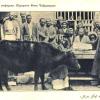 1925 Предпл Земельная Реформа Передача Быка Чайрикерше