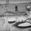 1925 Coocking Palau Uzbekistan