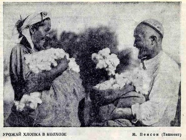 1929 Ташкент Урожай Хлопка Фото М Пенсона