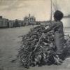 1930 Предпл Кызыл-Арват Саксаул