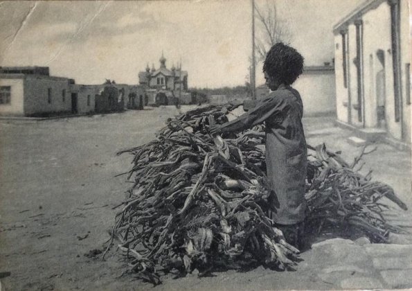 1930 Предпл Кызыл-Арват Саксаул