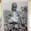 1932 Uzbek Girl in Cotton Field