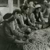 1938 Бухара Пионерки бухарской школы Читают Толстого на Узбекском