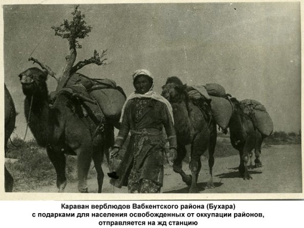 1943 Бухара Караван верблюдов Вабкентского района (Бухара)