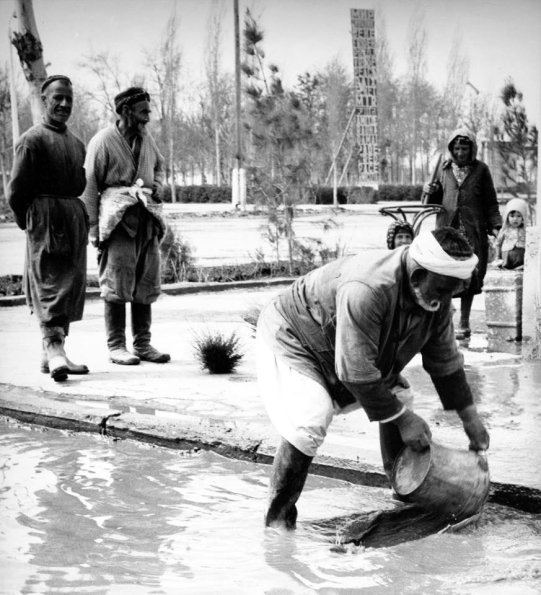 1955 Бухара Работники Жилищного Хозяйства