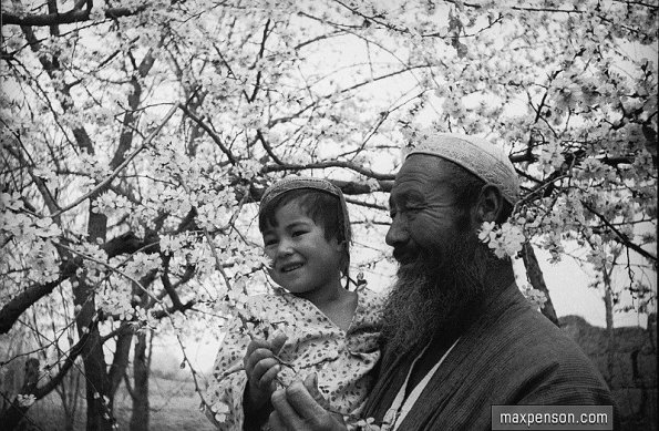 1955 Предпл Узбекистан В саду Весной
