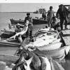 1960 Предпл Муйнак Рыбаки с Добычей Фото В Баутина