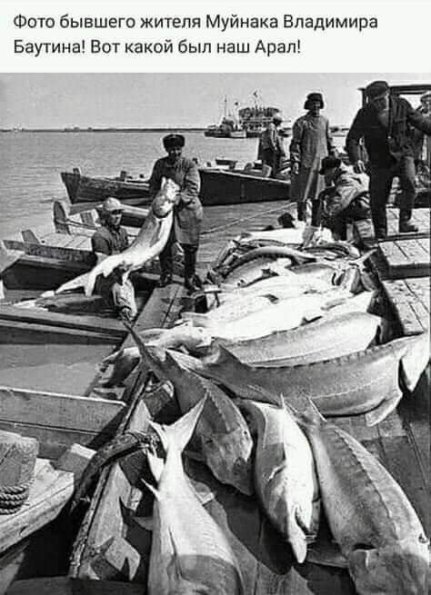 1960 Предпл Муйнак Рыбаки с Добычей Фото В Баутина