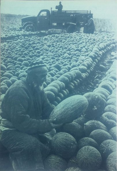 1960 Uzbekistan Melons