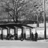 1962 Afghanistan Bus Stop and Russian Women
