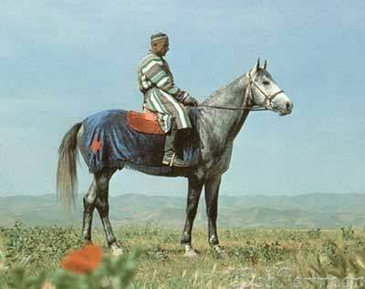 1968 Karabair Horse
