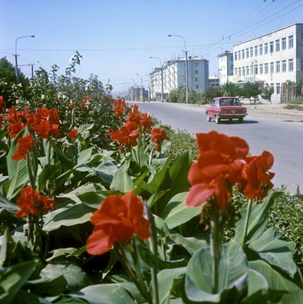 1970 Алмалык